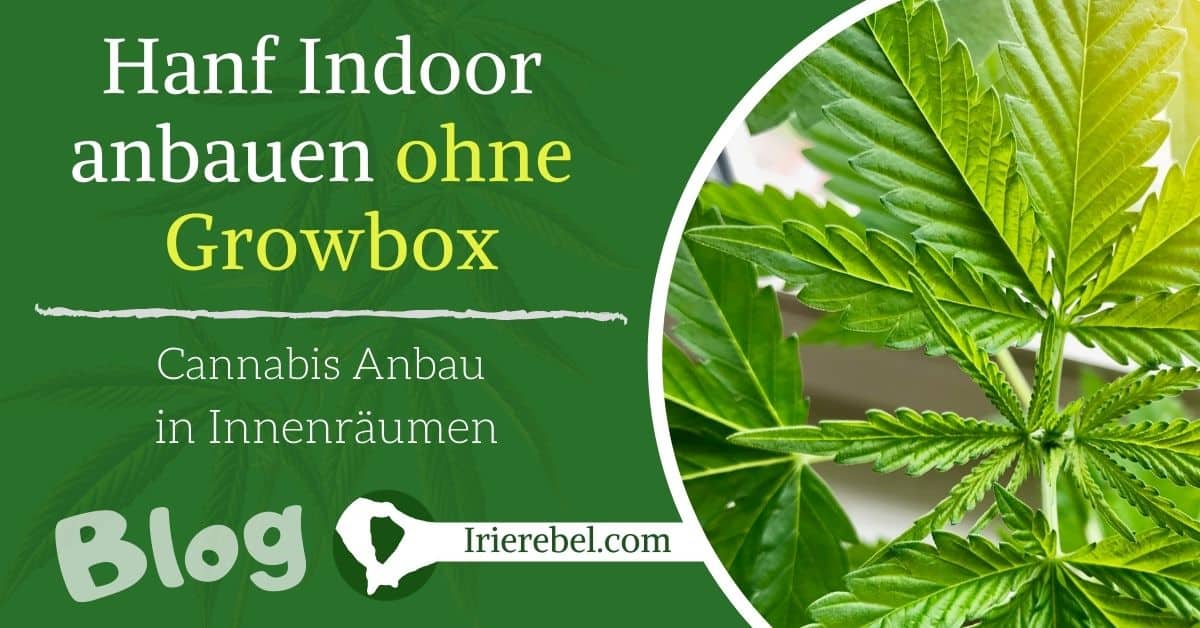 Cannabis Anbau Ohne Growbox: Geht Das?