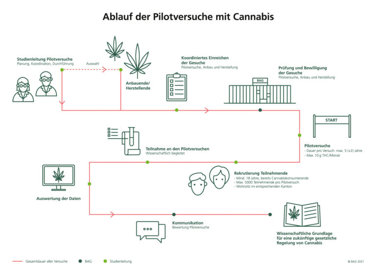 Cannabis-Anbau In Der Schweiz: Gesetze, Regelungen Und Unterschiede Zu Deutschland