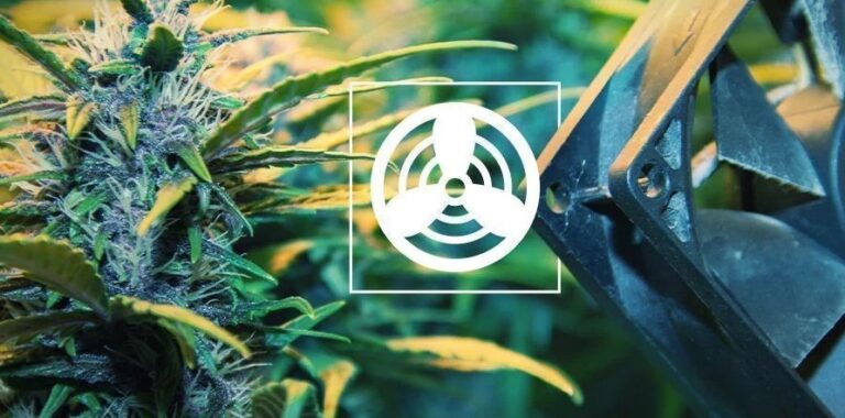 Belüftungssysteme Für Den Cannabis-Anbau