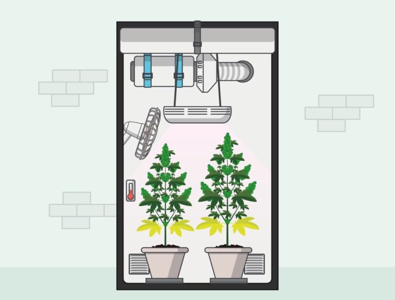 Cannabis Indoor Anbau: Die Richtige Technik