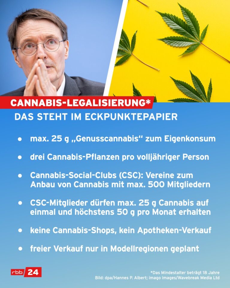 Cannabis Legalisierung Und Anbau Was Steht Bevor