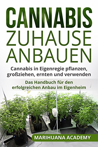 Cannabis Zuhause Anbauen – So Geht’s Richtig