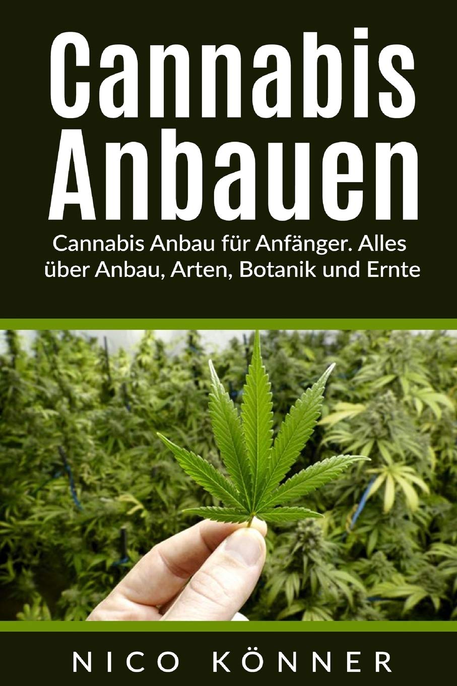 Einfuhrung In Den Cannabis Anbau Fur Anfanger Tipps Und Empfehlungen