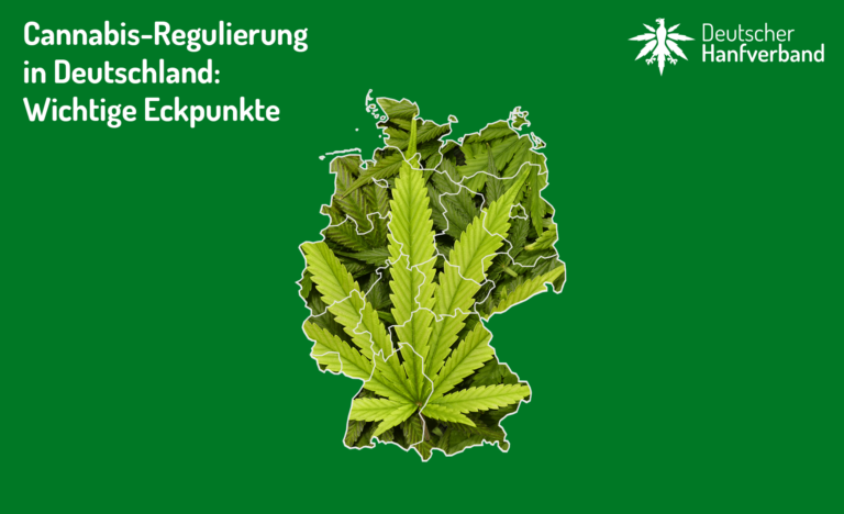 Legalen Cannabis-Anbau Betreiben: Voraussetzungen Und Schritte In Deutschland