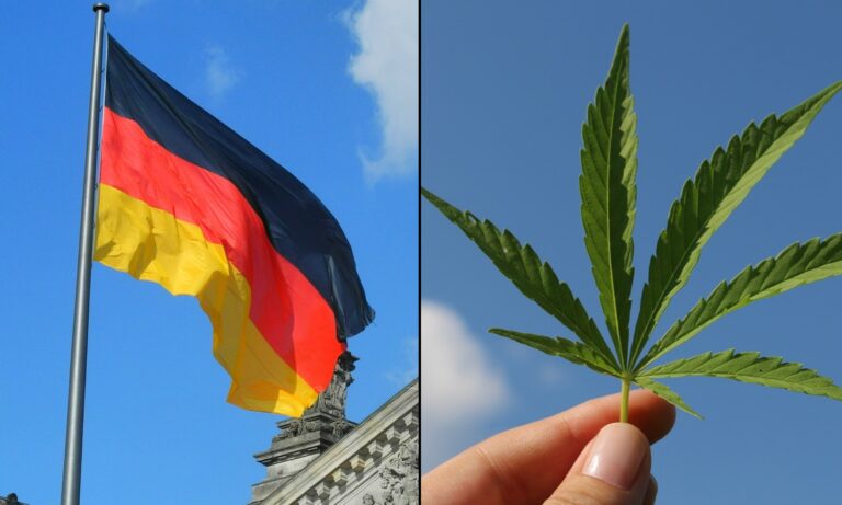 Lizenzierung Und Regulierung Des Cannabis-Anbaus In Deutschland