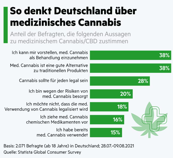 Cannabis Anbau In Deutschland: Legalität Und Richtlinien