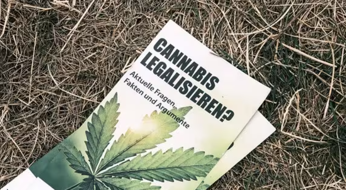 Cannabis-Anbau Nach Der Legalisierung In Deutschland: Regelungen Und Auswirkungen