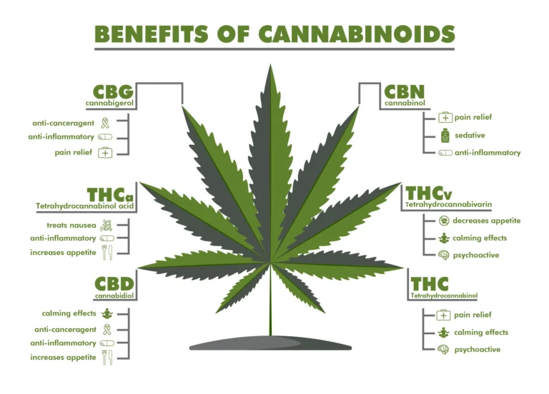 Cannabis-Anbauzelte: Vorteile, Auswahl Und Aufbau