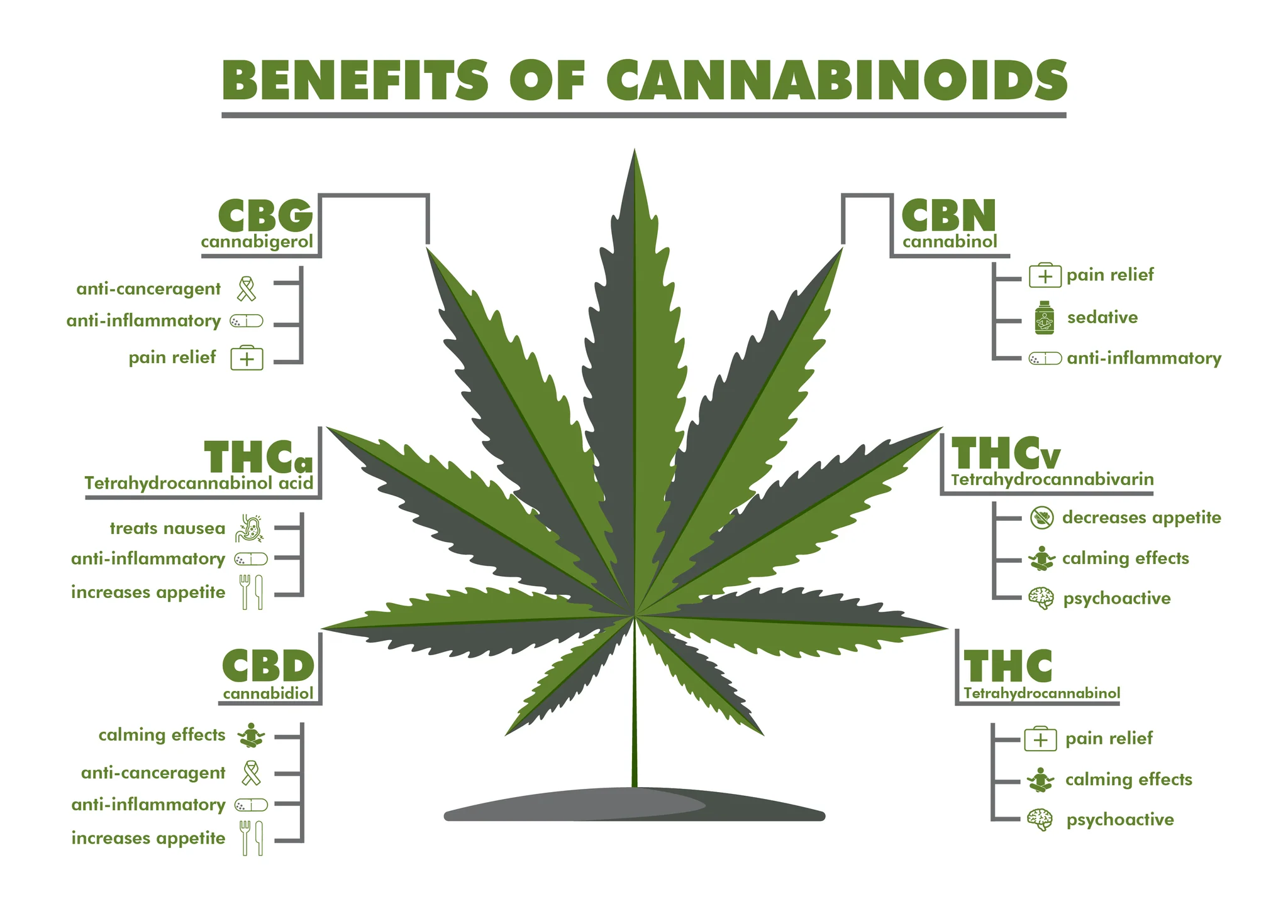 Cannabis-Anbauzelte: Vorteile, Auswahl Und Aufbau